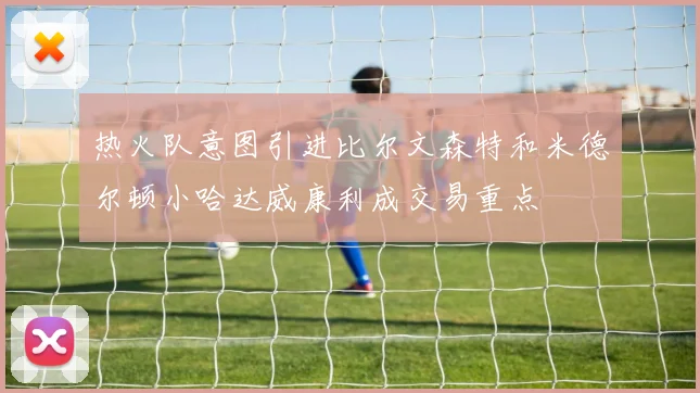 热火队意图引进比尔文森特和米德尔顿小哈达威康利成交易重点